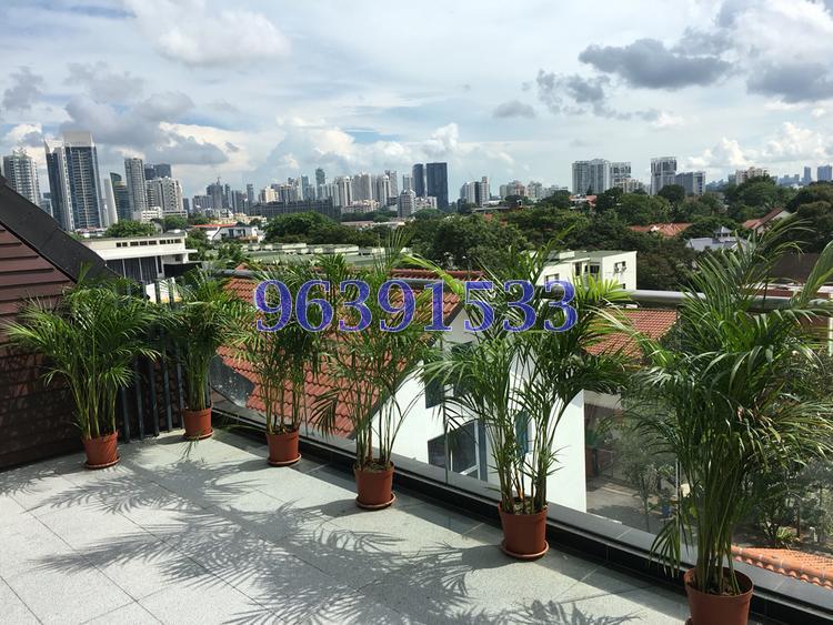 Eng Aun Park (D11), Semi-Detached #121703302